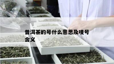 普洱茶的号什么意思及唛号含义