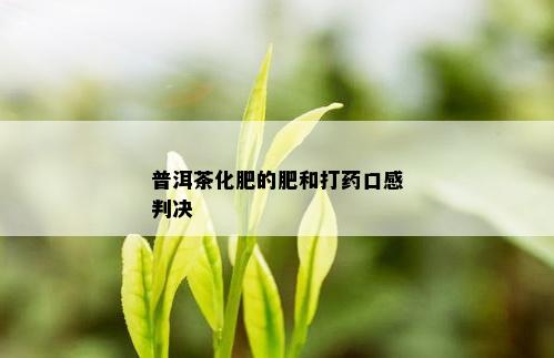 普洱茶化肥的肥和打口感判决