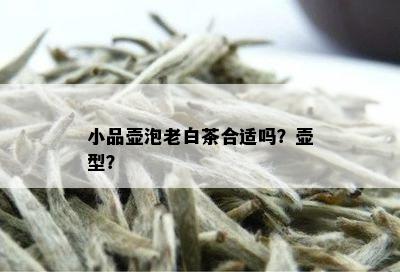 小品壶泡老白茶合适吗？壶型？