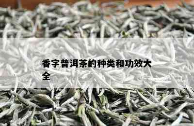 香字普洱茶的种类和功效大全