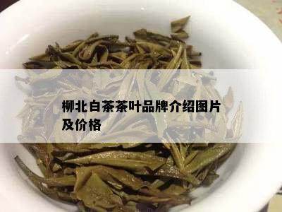 柳北白茶茶叶品牌介绍图片及价格