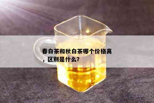 春白茶和秋白茶哪个价格高，区别是什么？