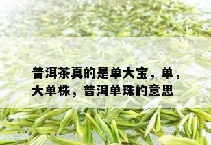 普洱茶真的是单大宝，单，大单株，普洱单珠的意思