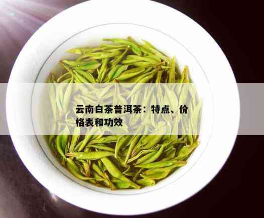 云南白茶普洱茶：特点、价格表和功效