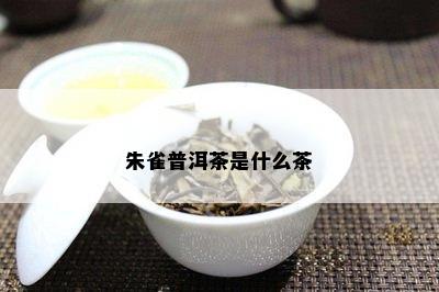 朱雀普洱茶是什么茶