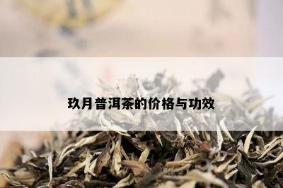 玖月普洱茶的价格与功效