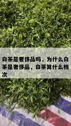 白茶是奢侈品吗，为什么白茶是奢侈品，白茶算什么档次