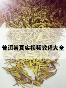 普洱茶真实视频教程大全