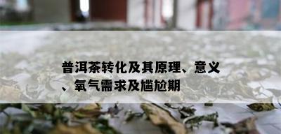 普洱茶转化及其原理、意义、氧气需求及尴尬期