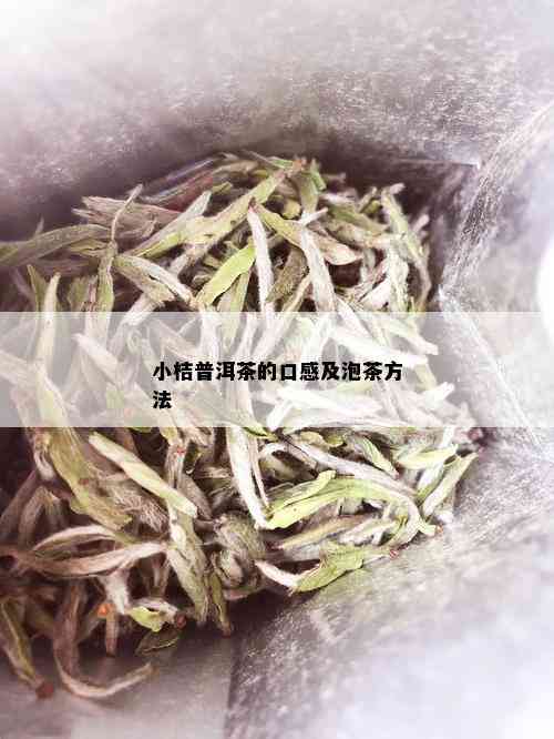 小桔普洱茶的口感及泡茶方法