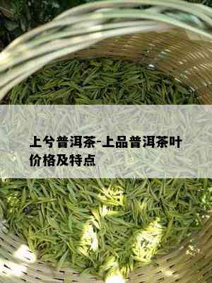 上兮普洱茶-上品普洱茶叶价格及特点