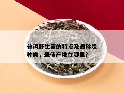 普洱野生茶的特点及最珍贵种类，更佳产地在哪里？