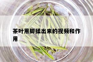 茶叶用脚揉出来的视频和作用