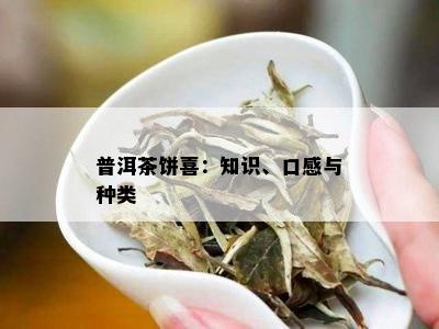 普洱茶饼喜：知识、口感与种类