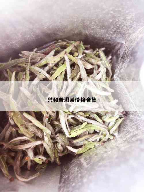 兴和普洱茶价格合集