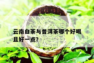 云南白茶与普洱茶哪个好喝且好一点？