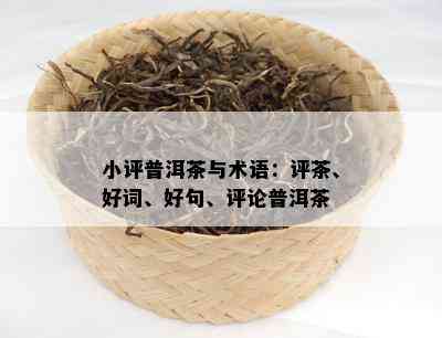 小评普洱茶与术语：评茶、好词、好句、评论普洱茶