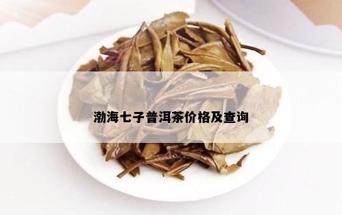 渤海七子普洱茶价格及查询