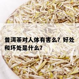 普洱茶对人体有害么？好处和坏处是什么？