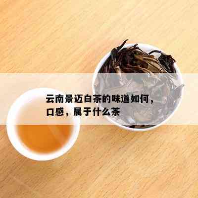 云南景迈白茶的味道如何，口感，属于什么茶