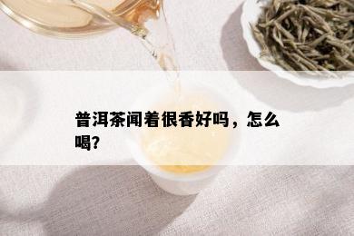 普洱茶闻着很香好吗，怎么喝？