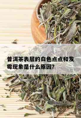 普洱茶表层的白色点点和发霉现象是什么原因？