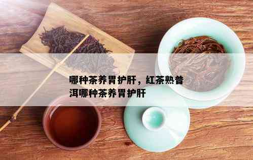 哪种茶养胃护肝，红茶熟普洱哪种茶养胃护肝