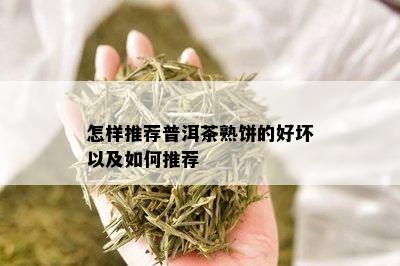 怎样推荐普洱茶熟饼的好坏以及如何推荐