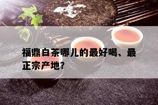 福鼎白茶哪儿的更好喝、最正宗产地？