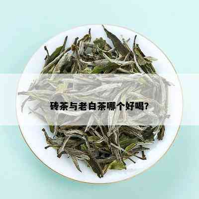 砖茶与老白茶哪个好喝？