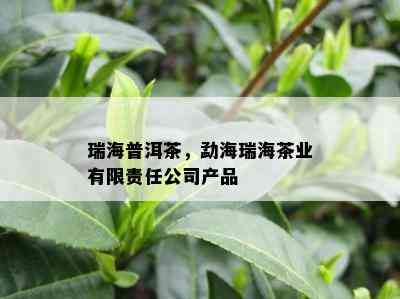 瑞海普洱茶，勐海瑞海茶业有限责任公司产品