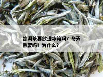 普洱茶要放进冰箱吗？冬天需要吗？为什么？