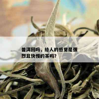 普洱回吗，给人的感觉是强烈且快慢的茶吗？