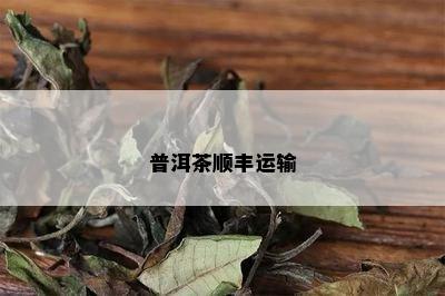 普洱茶顺丰运输