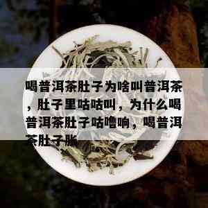 喝普洱茶肚子为啥叫普洱茶，肚子里咕咕叫，为什么喝普洱茶肚子咕噜响，喝普洱茶肚子胀