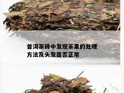 普洱茶砖中发现茶果的处理方法及头发是否正常