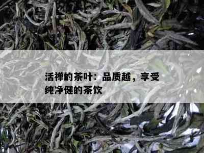 活禅的茶叶：品质越，享受纯净健的茶饮