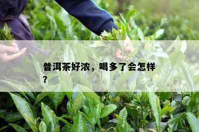 普洱茶好浓，喝多了会怎样？