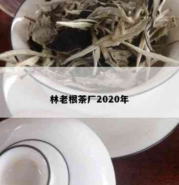 林老根茶厂2020年