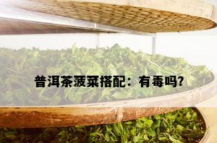 普洱茶菠菜搭配：有吗？