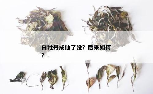 白牡丹成仙了没？后来如何？