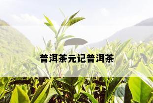 普洱茶元记普洱茶