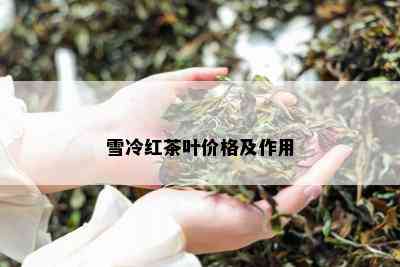 雪冷红茶叶价格及作用