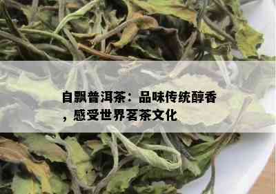 自飘普洱茶：品味传统醇香，感受世界茗茶文化