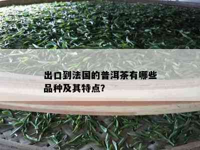 出口到法国的普洱茶有哪些品种及其特点？