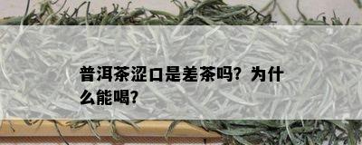 普洱茶涩口是差茶吗？为什么能喝？