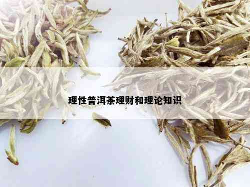 理性普洱茶理财和理论知识