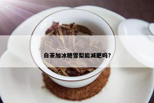 白茶加冰糖雪梨能减肥吗?