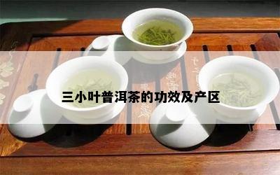 三小叶普洱茶的功效及产区