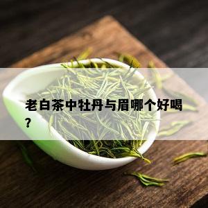 老白茶中牡丹与眉哪个好喝？